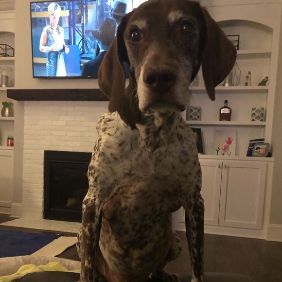 Meet your Posher, Erik - Picture 1 of 1